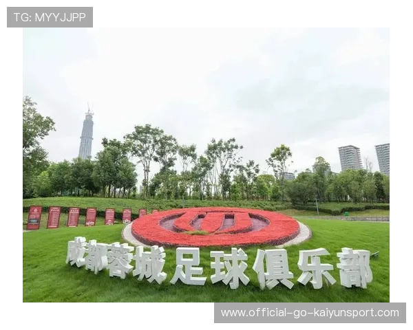 足球场馆资源是否可向其他体育项目灵活共享,足球场馆的产业链分析 足球场馆资源是否可向其他体育项目灵活共享,足球场馆的产业链分析